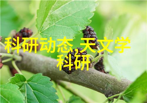 柳汐裴煜宁最新章节小说全文阅读穿越奇缘逆袭爱情