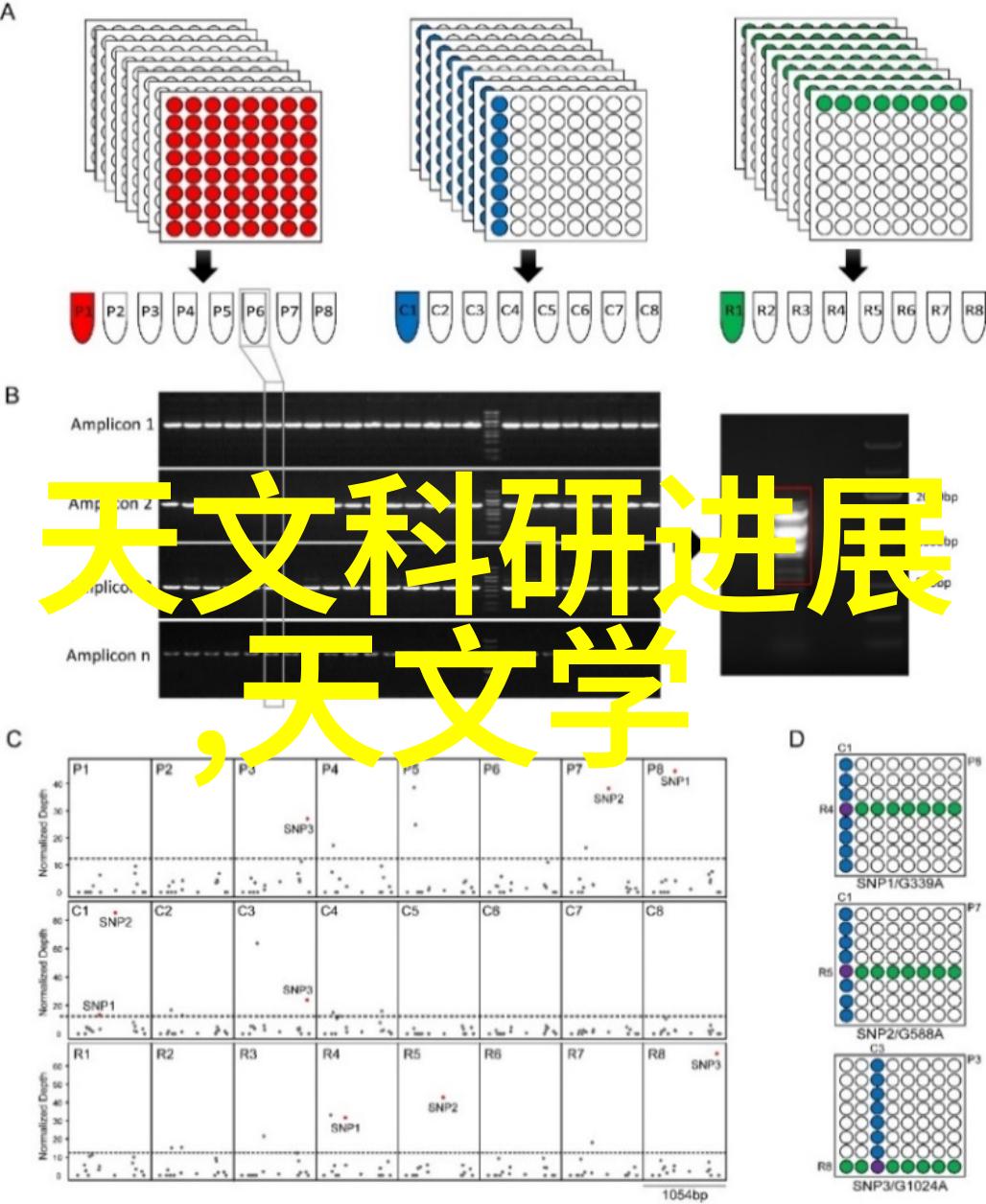 特种兵多汁多肉的糙汉文揭秘他们不为人知的文学爱好