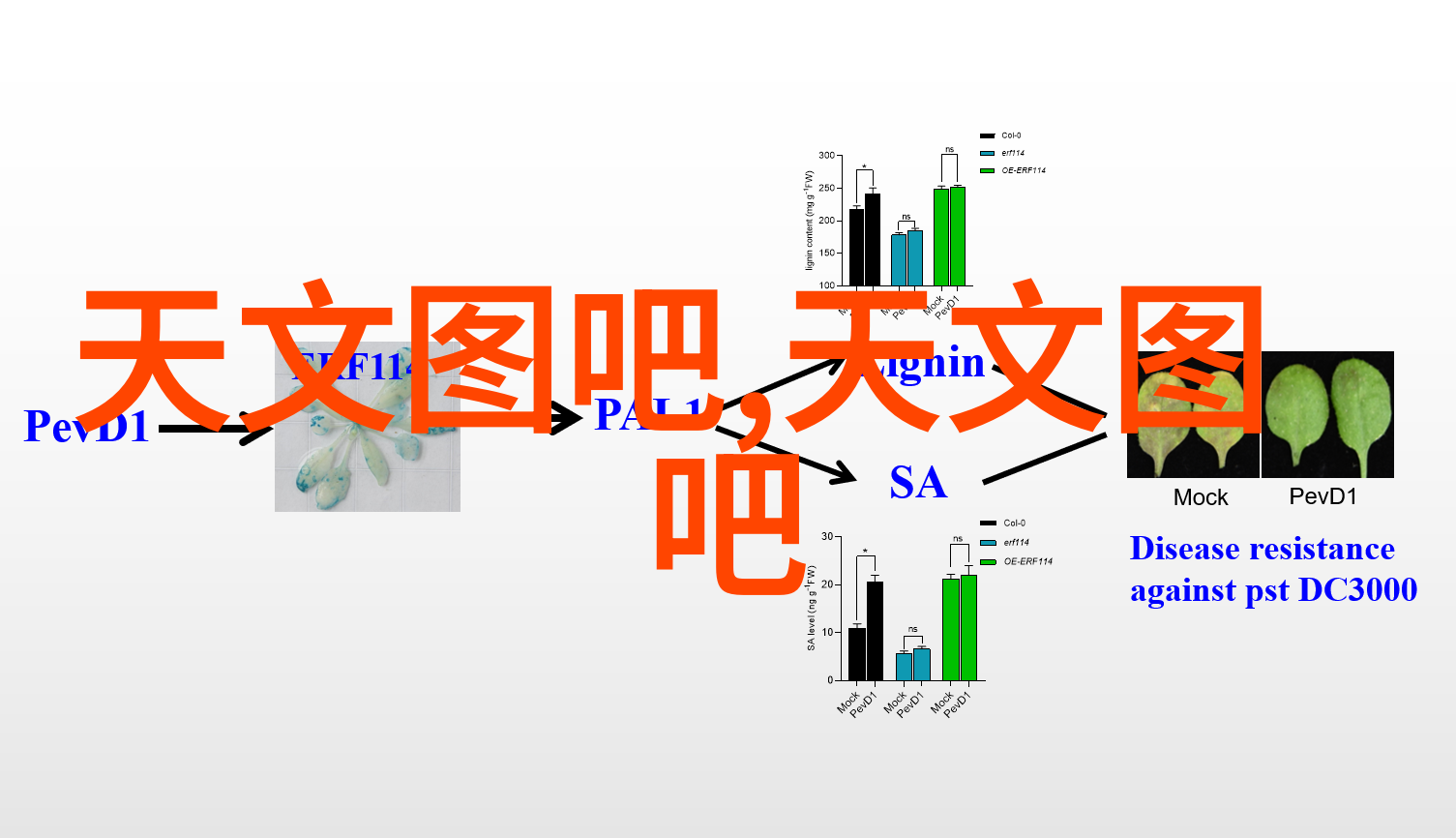 捕捉时光的艺术家摄影师职业生涯回顾