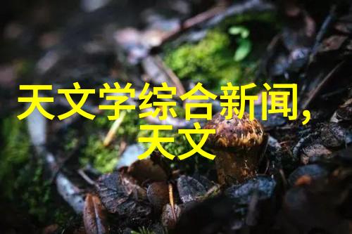 当我们说到高效吸收时我们通常指的是什么标准和技术呢