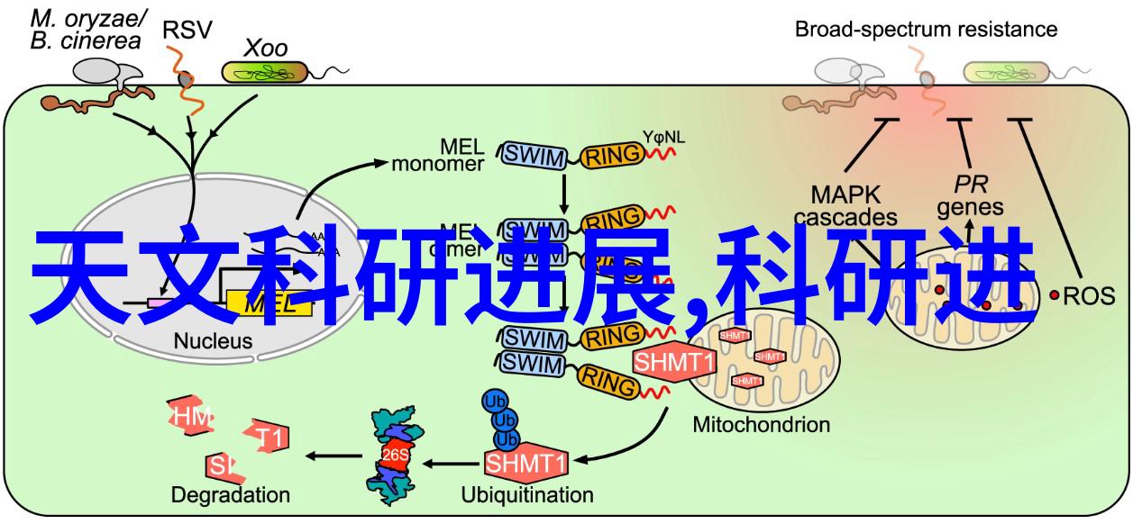 完美洗手间一站式指南卫生间装修的步骤与技巧