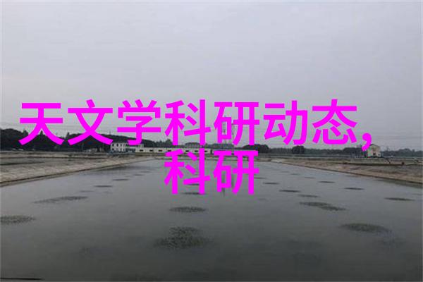 在国际化背景下安庆市本地高校如安庆理工大学与其他学校相比有何优势和劣势