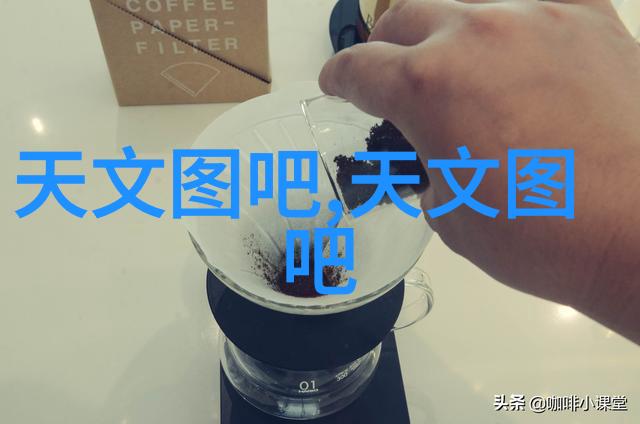 香槟玫瑰品味浪漫与奢华的花语