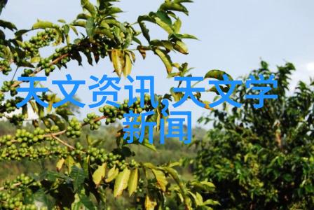 新能源应用如何改变传统建筑电气供给模式