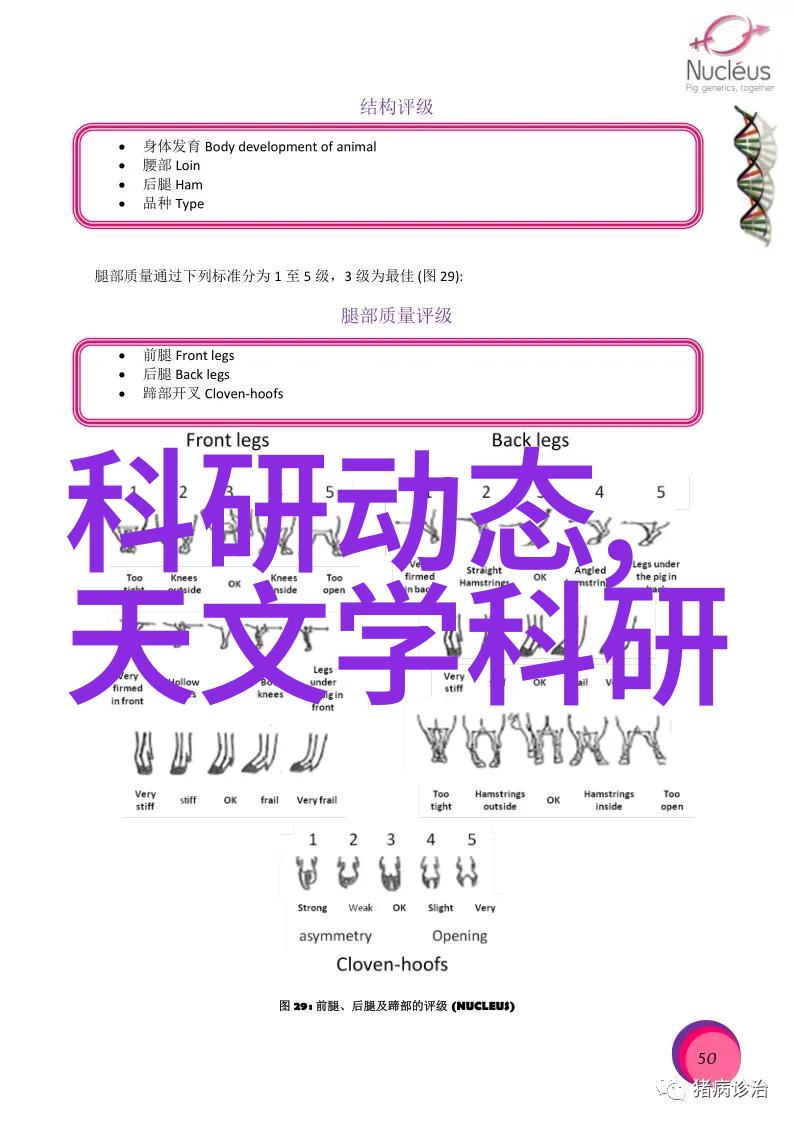 移动式或固定式大型净水设备哪种更适合户外使用成本如何不同