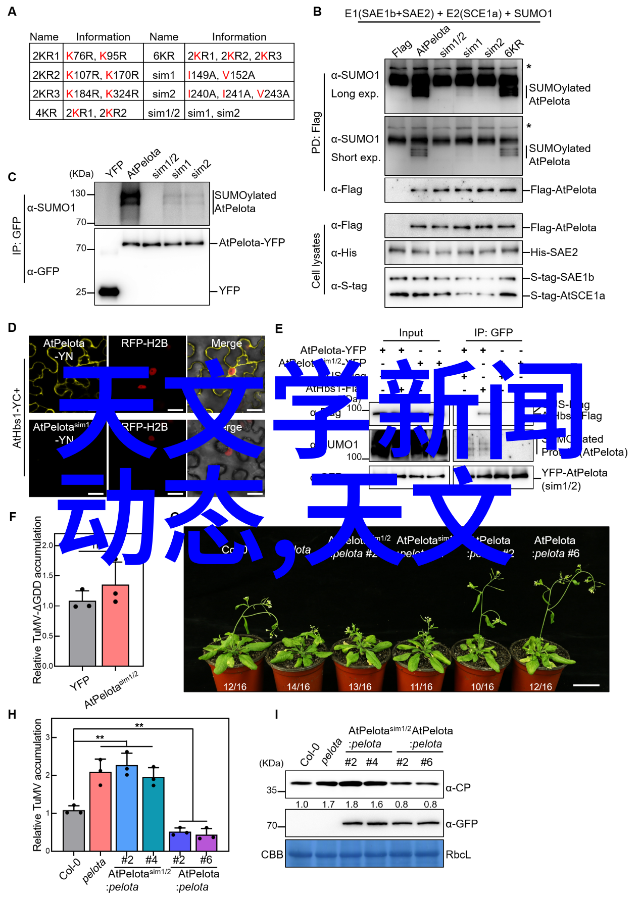 装修攻略大全及注意事情我来教你如何不破财免灾