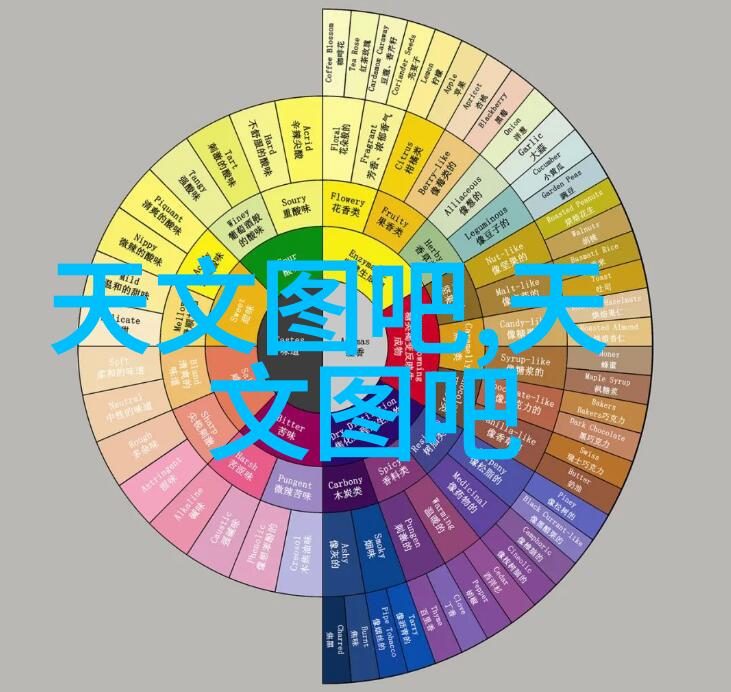 从概念到现实中策装饰项目案例分享会亮点总结