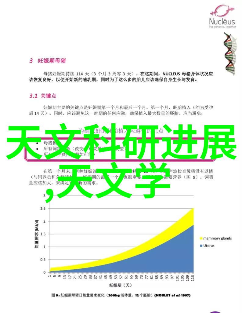 炉火微波一探厨房的新奇境界