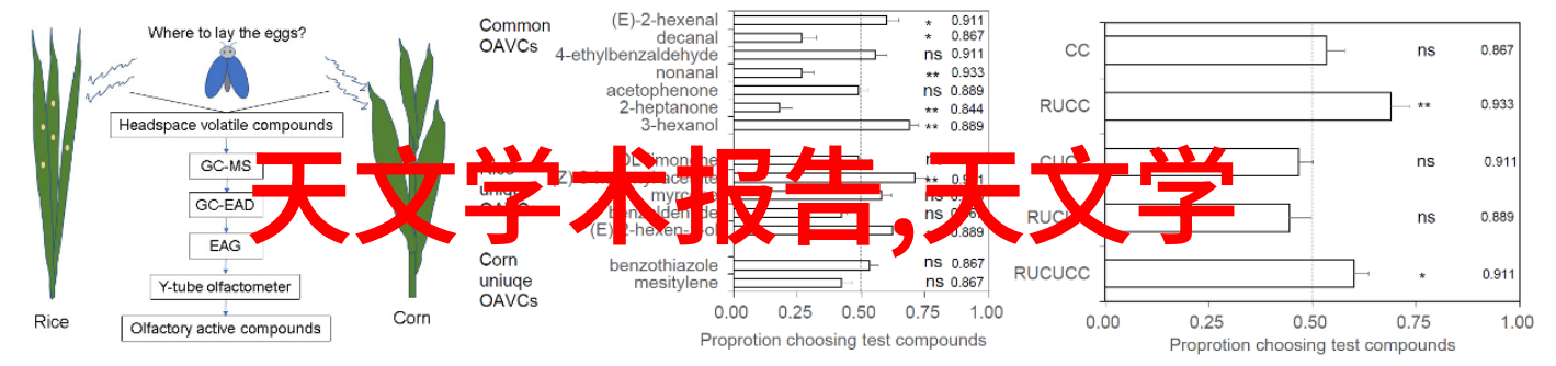 高压灭菌锅夜间运行一晚上有事的秘密