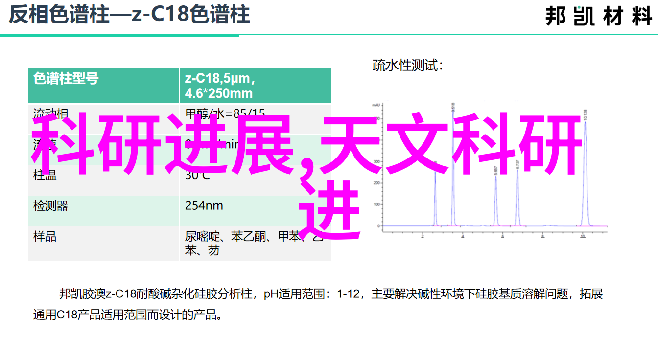 兔宝宝的世界了解不同品种的兔子的个性特点