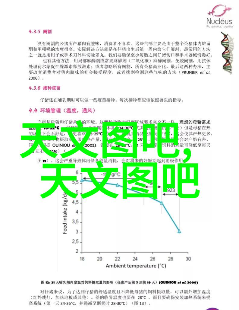 家中和谐隔音装修的艺术与智慧