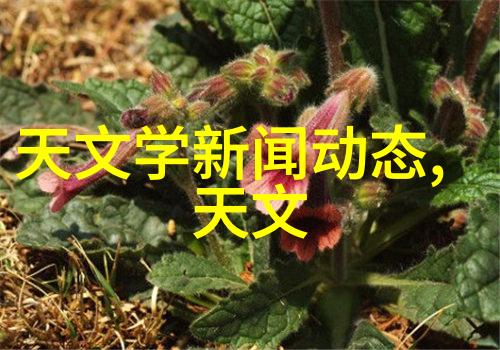 家庭用电安全揭秘微波炉潜在危害及其预防措施