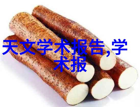 新闻摄影技巧全解析捕捉时刻的艺术与科技