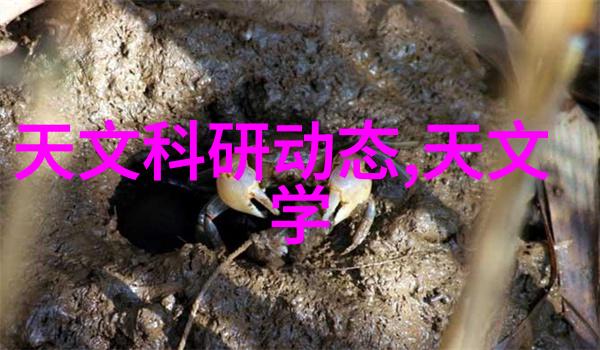 超宽带芯片革命未来的无线连接新纪元