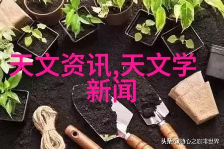 建筑物的新生多孔砖的奇妙应用