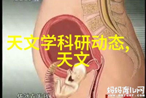 半年工作回顾成就与启示