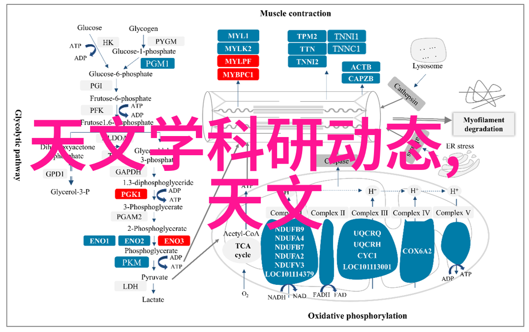 你知道空气净化器是如何工作的吗