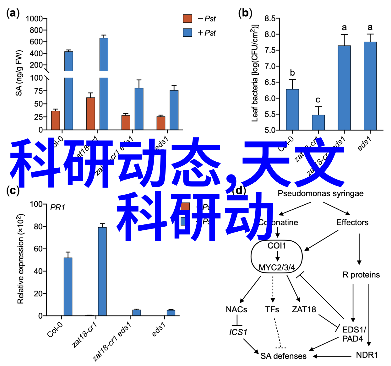 主题我是如何在实验室里用高速离心机处理样本的