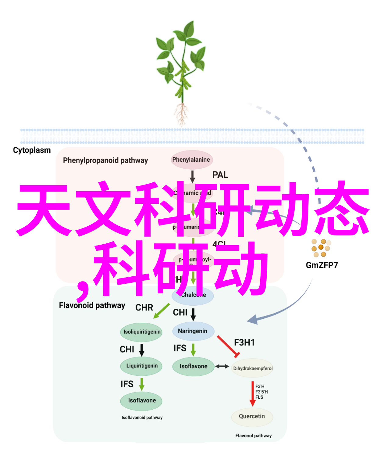 数码宝贝之虚拟世界的孤独