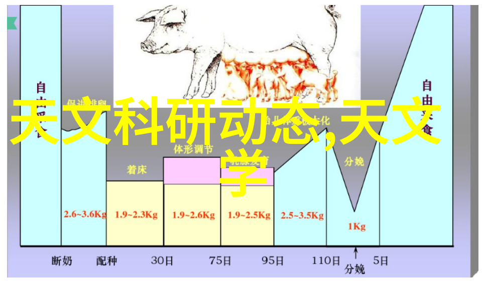 厨房装修图片我家的厨房变身了个性派对空间