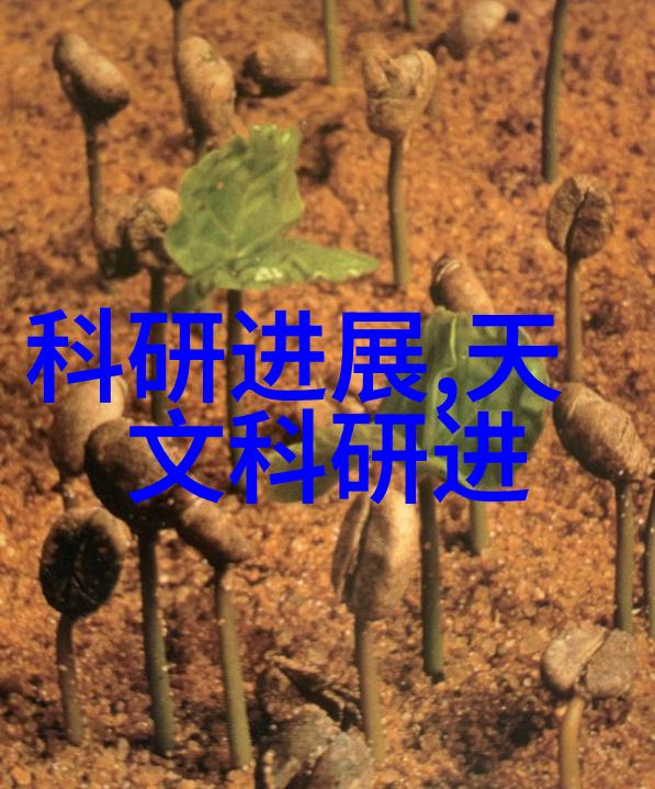 市政我是如何发现城市管理的细节王者