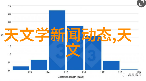 我与智能聊天机器人的奇妙对话