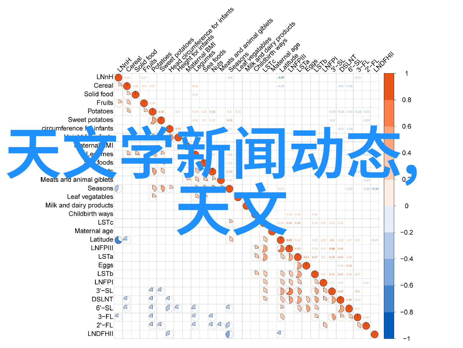 手机摄影技巧-掌握一瞬如何学好手机拍摄技术