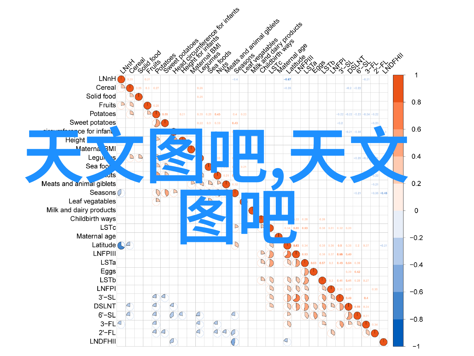 中国芯片制造水平现状高端集成电路技术发展概况