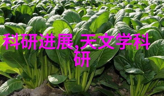 电影制作的新伙伴专业影视器材租赁平台