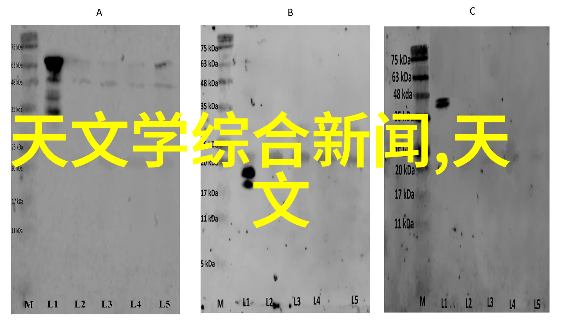 欧式梦幻简约时尚客厅装修艺术