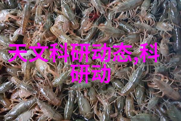 佳能m100 - 入门级微单相机的新选择