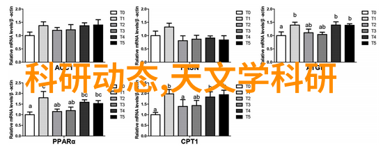 高效电机犹如节能的先锋拥抱电气自动化技术就业方向的未来之光