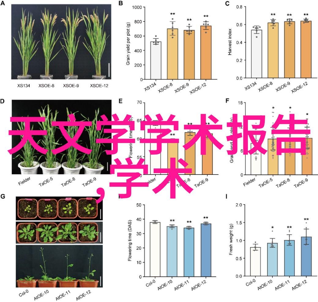 生物安全的守护者高压灭菌指示剂的秘密使命