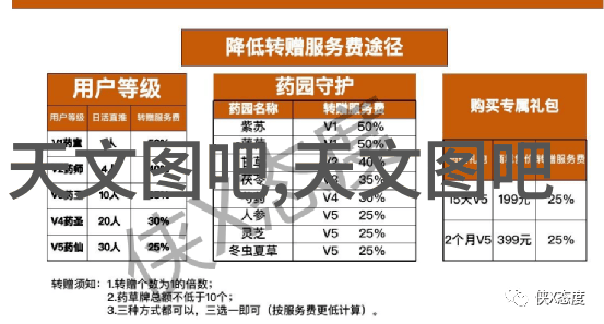 微波炉烤鸡秘籍快速健康的家常美食制作方法