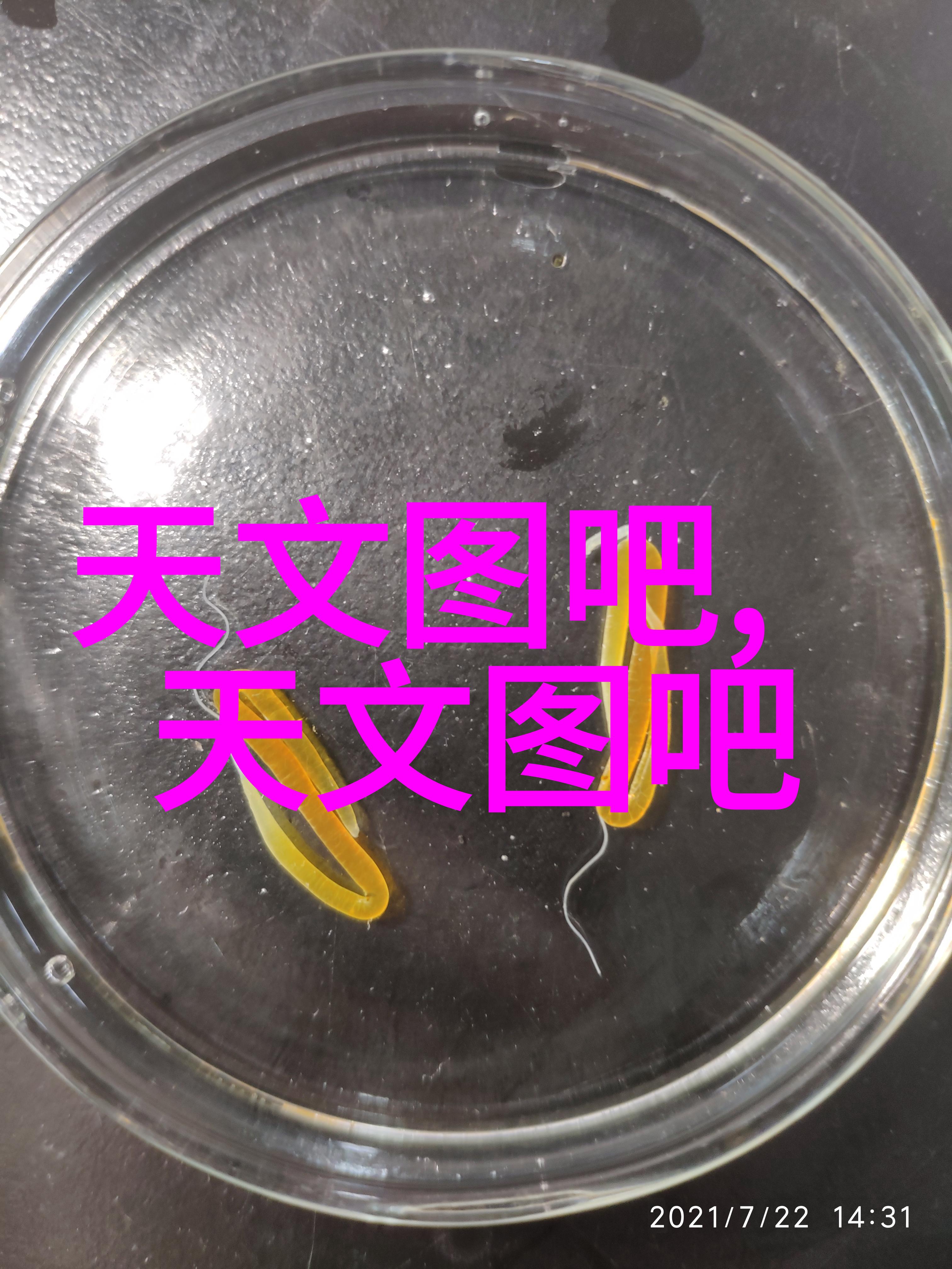 学术探究之旅展望未来致敬知识的光芒