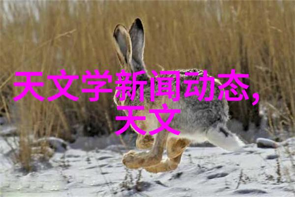 古典家居梦想四大装修要点与家庭装修电路设计图共创时尚古典风格之美