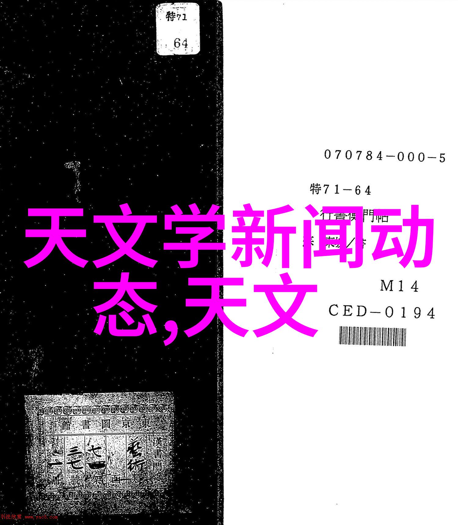 探索数字领域的新天地02kkk.cn如何重塑网络体验