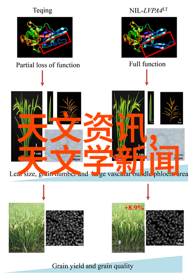 装饰画在现代风格简约室内设计中的作用有哪些