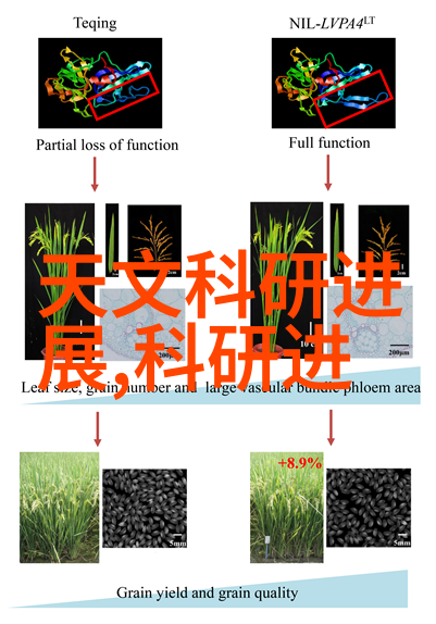 创意工作空间办公室设计装修的艺术与实用之美