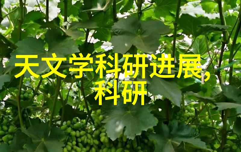 揭秘三大新冠特效药莫非尔帕克斯洛维德与巴西利克斯的奇迹治愈力