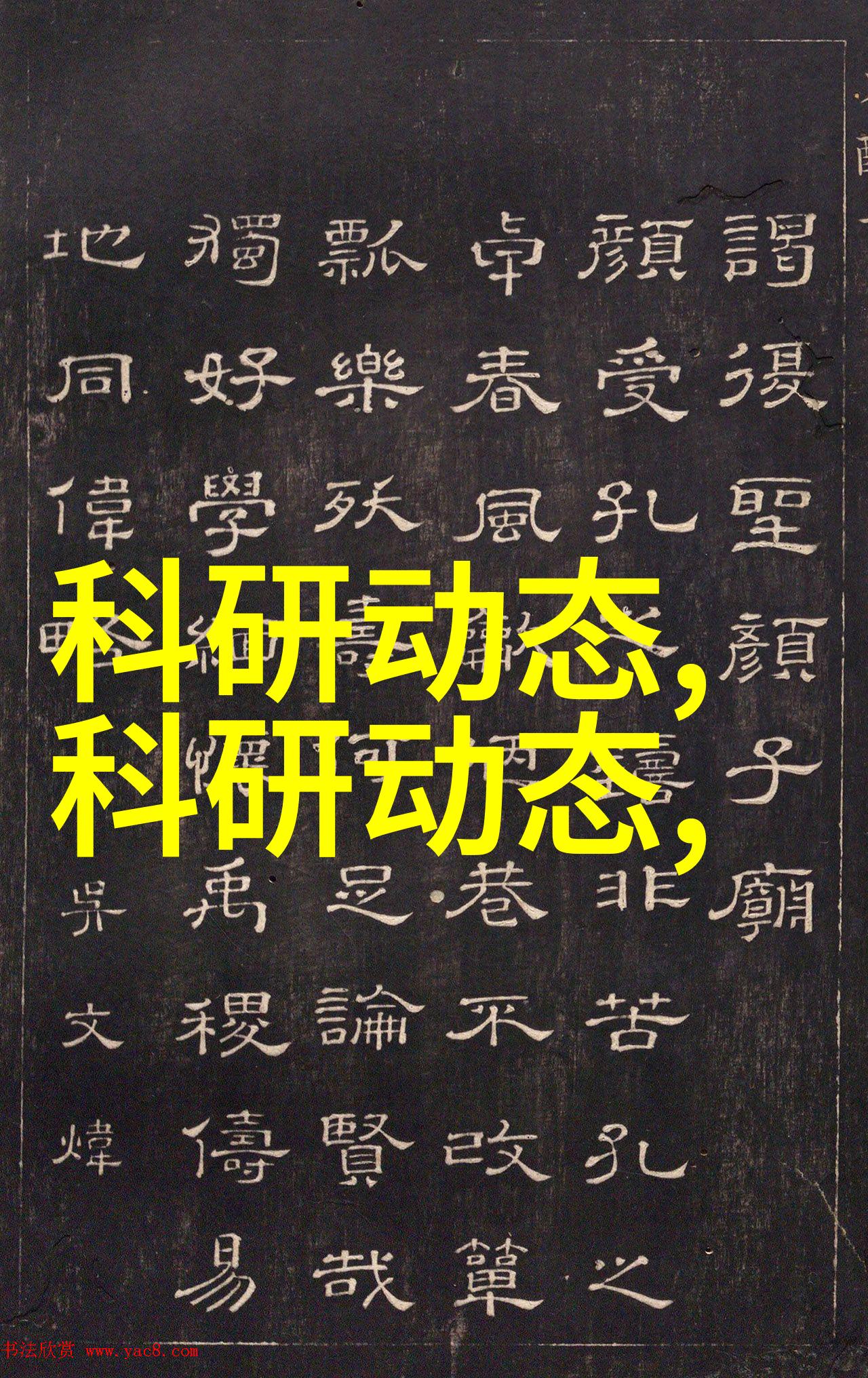 探索搜索引擎优化的理论与实践构建有效的网络信息检索策略