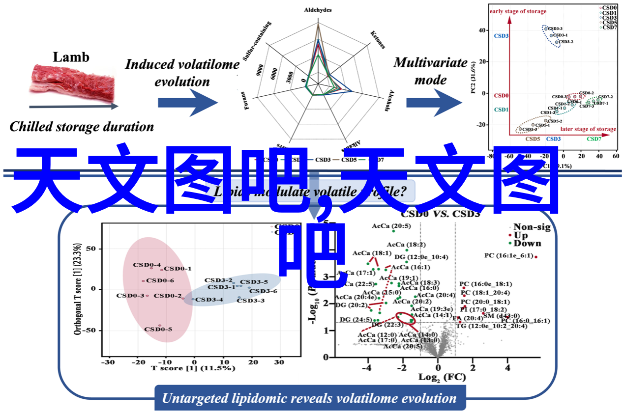 职场成长实效性工作报告的制定与执行艺术