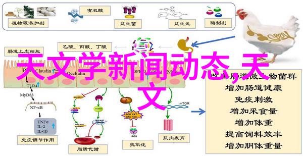 智慧之芯嵌入式系统的无缝学习旅程