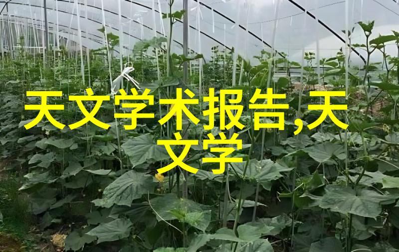 嵌入式软件开发-一年的锻炼揭秘嵌入式工程师的工资增长轨迹