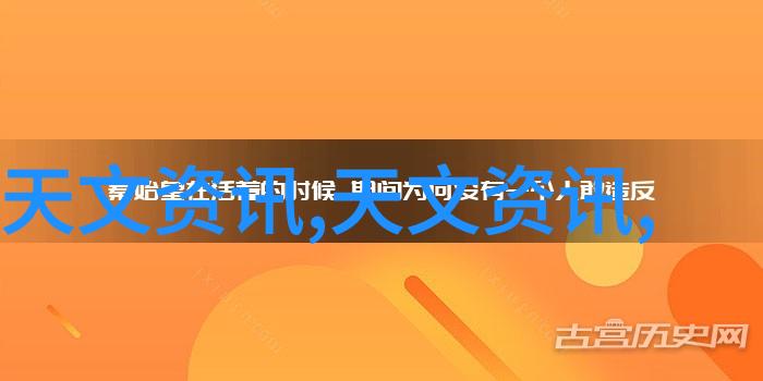 有限责任公司的发展与挑战