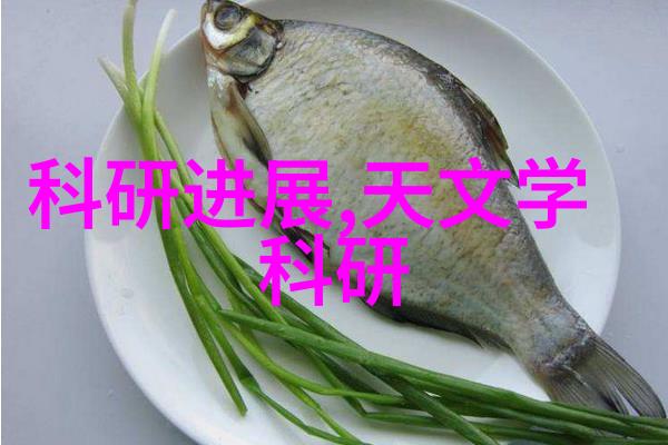 海尔双开门冰箱操作指南如何正确调节温度与保存食物