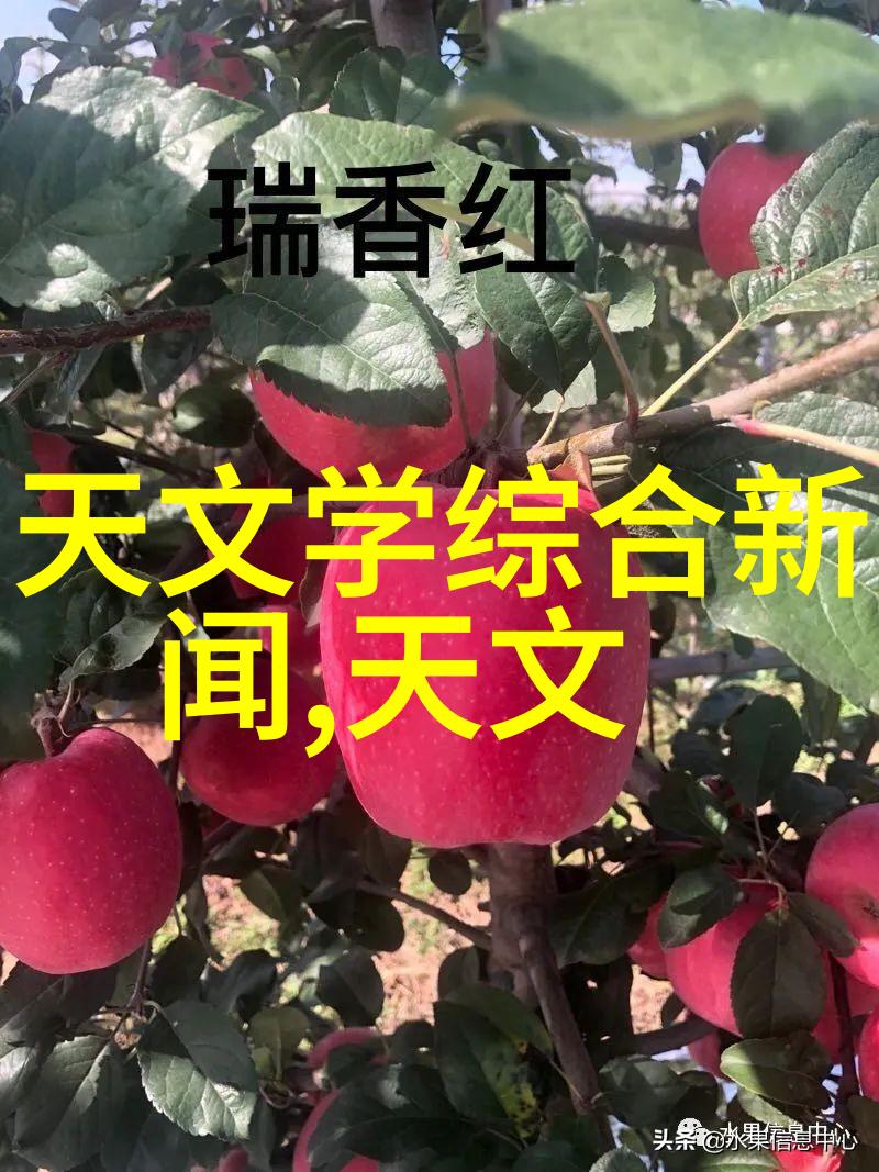 机器人时代的我从遥控到自主智能