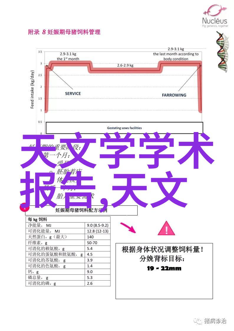 心尖野玫瑰我心中的那朵顽强绽放的爱情