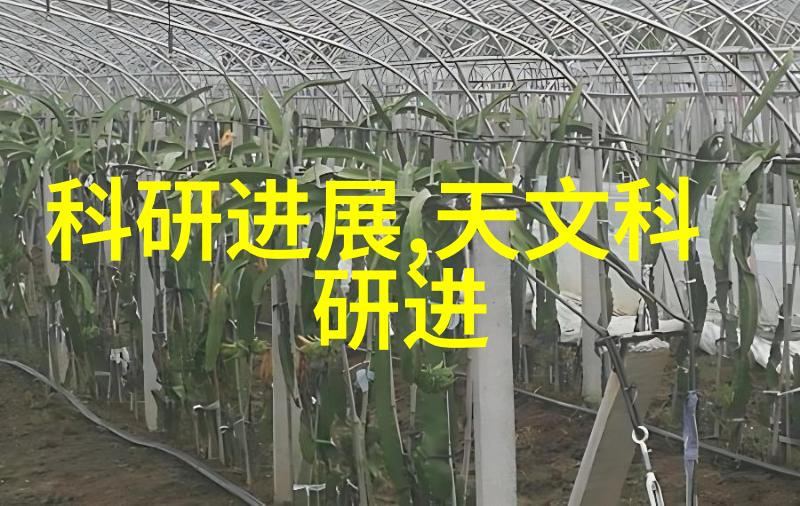 水利工程中的排水系统保障城市防洪安全的关键设施