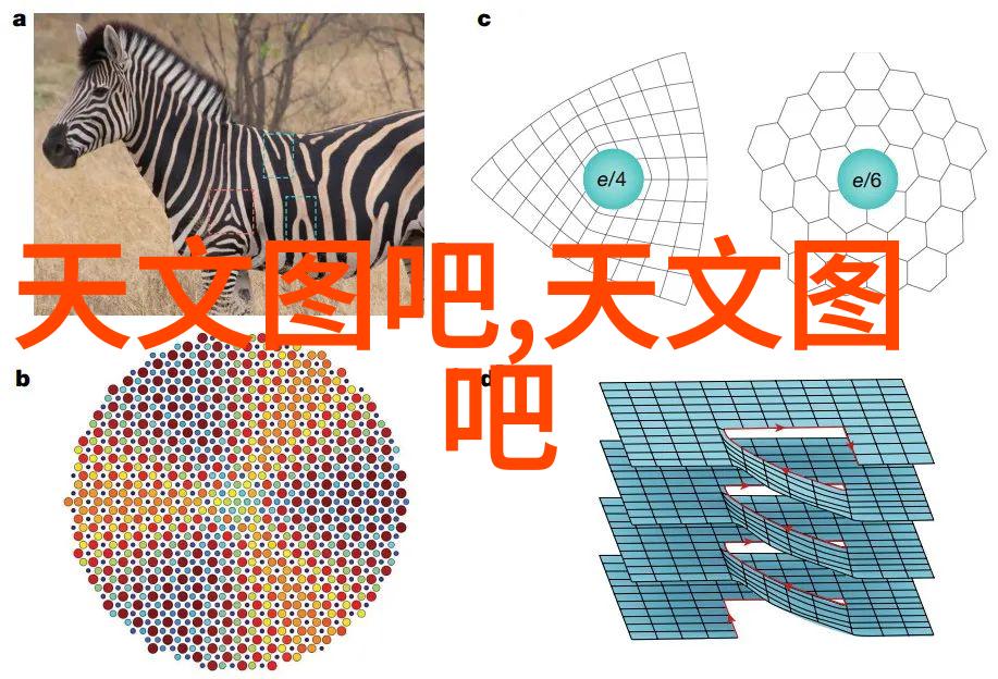 简约生活我来帮你搞定那一套客厅装修效果图图片大全